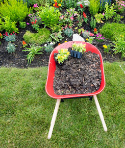 Mulch in Wheelbarrow in Coral Gables, FL Mulch in Wheelbarrow in Coral Gables, FL